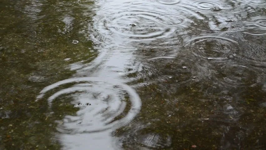 今日は雨、こんな日は心配事が・・・