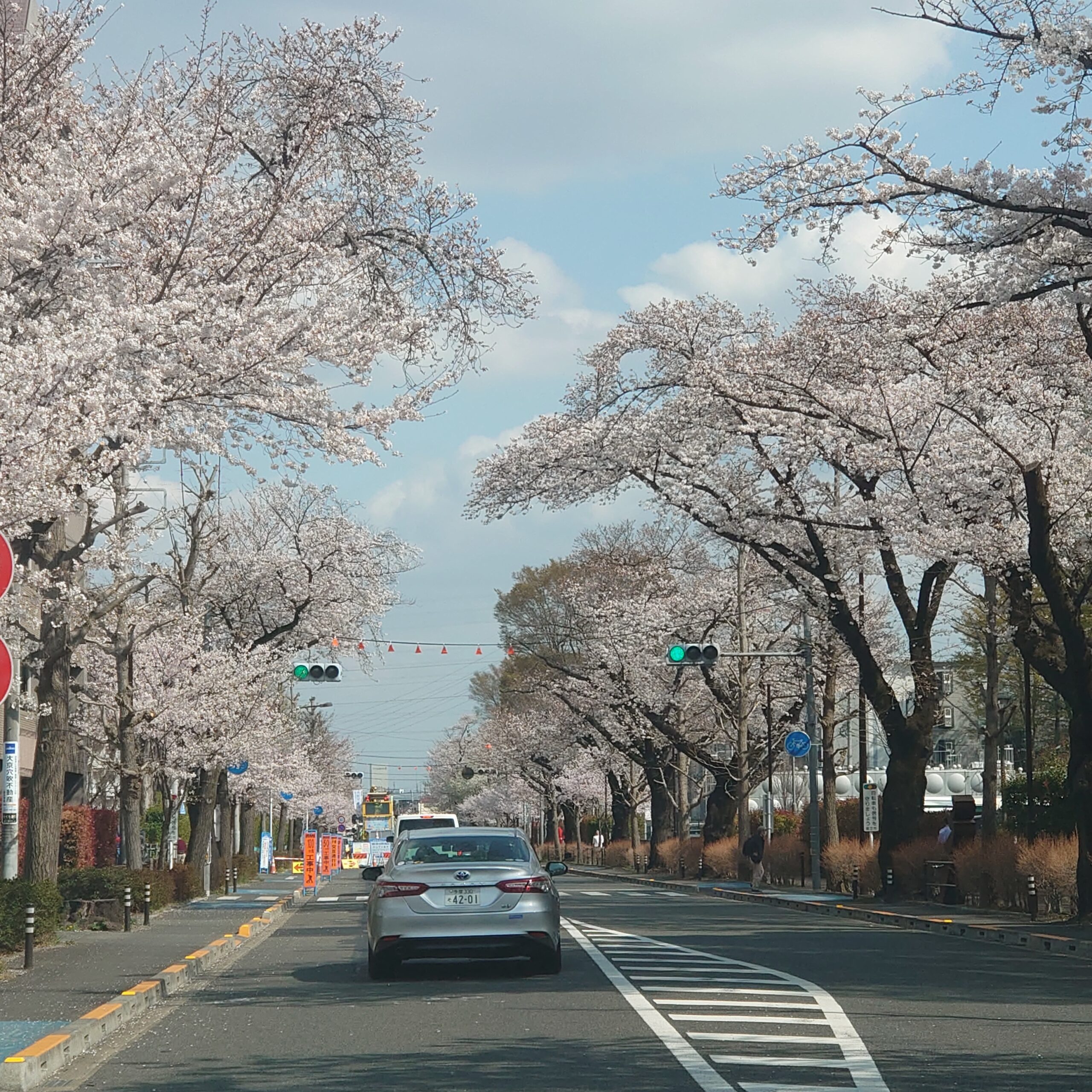 桜の森の満開の下