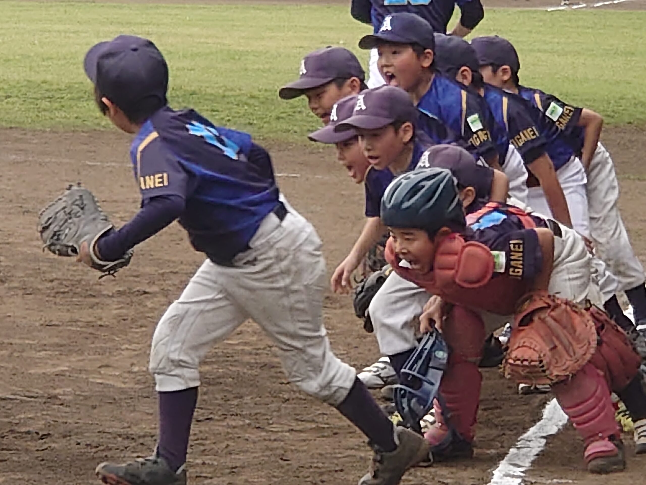 頑張れアトムズ