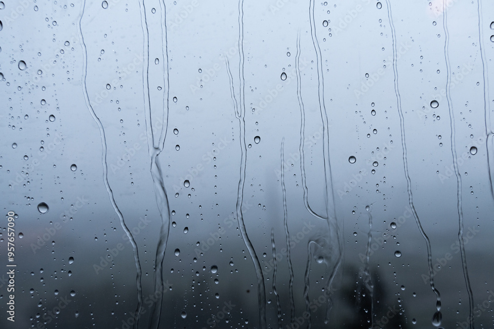 本日は雨天なり