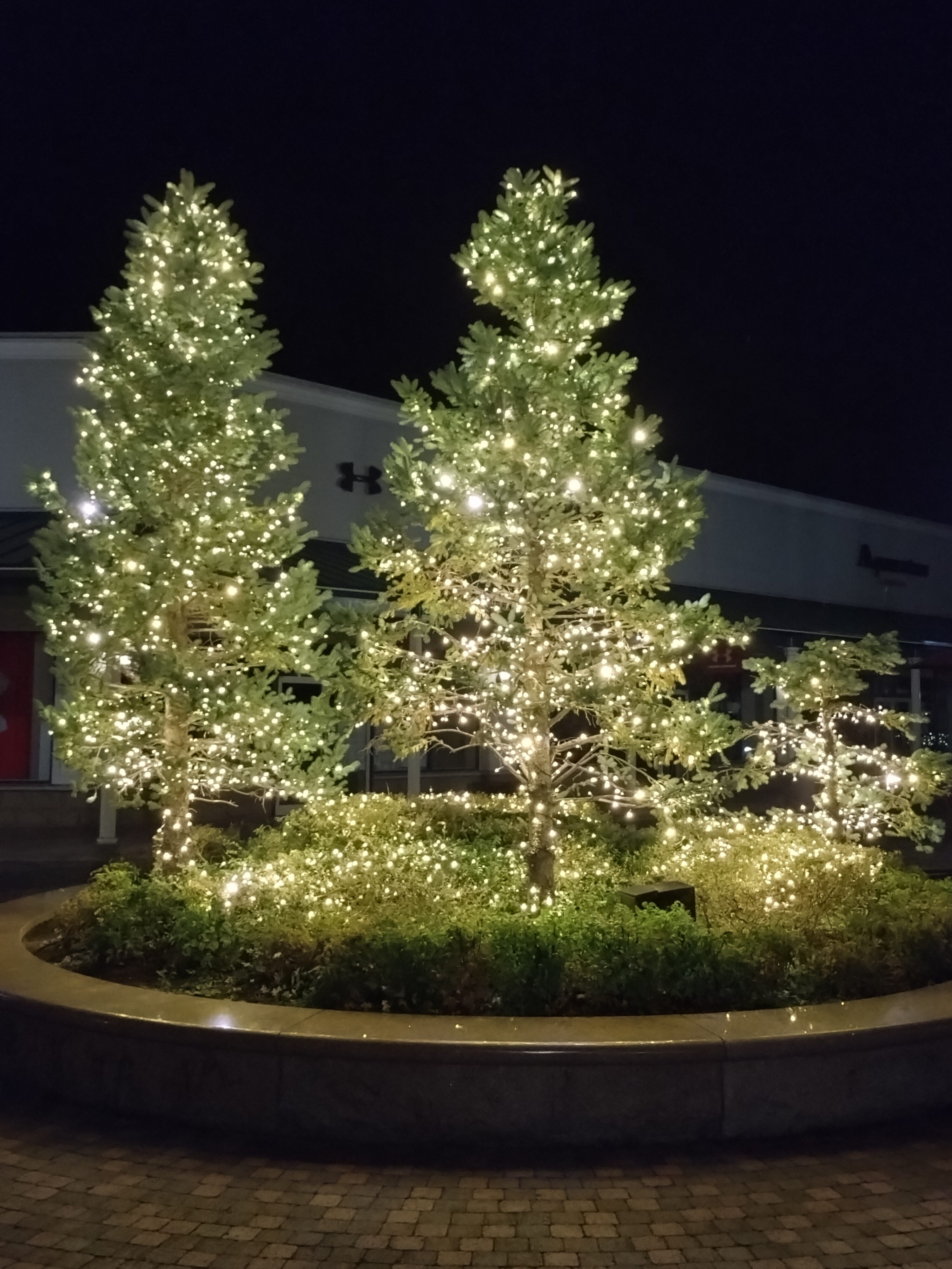 ハロウイン～イルミネーション